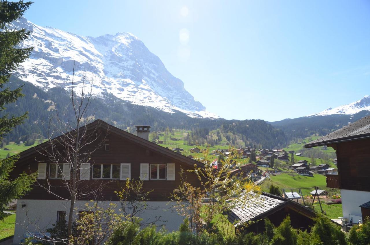 Chalet D Grindelwald Buitenkant foto