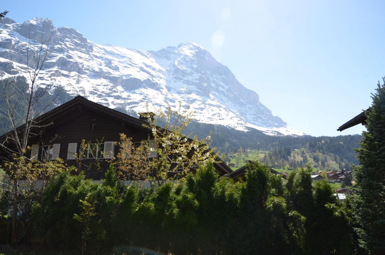 Chalet D Grindelwald Buitenkant foto